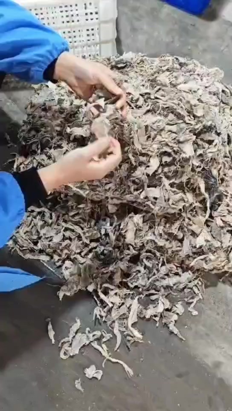 碎干毛肚底板长期大量供应