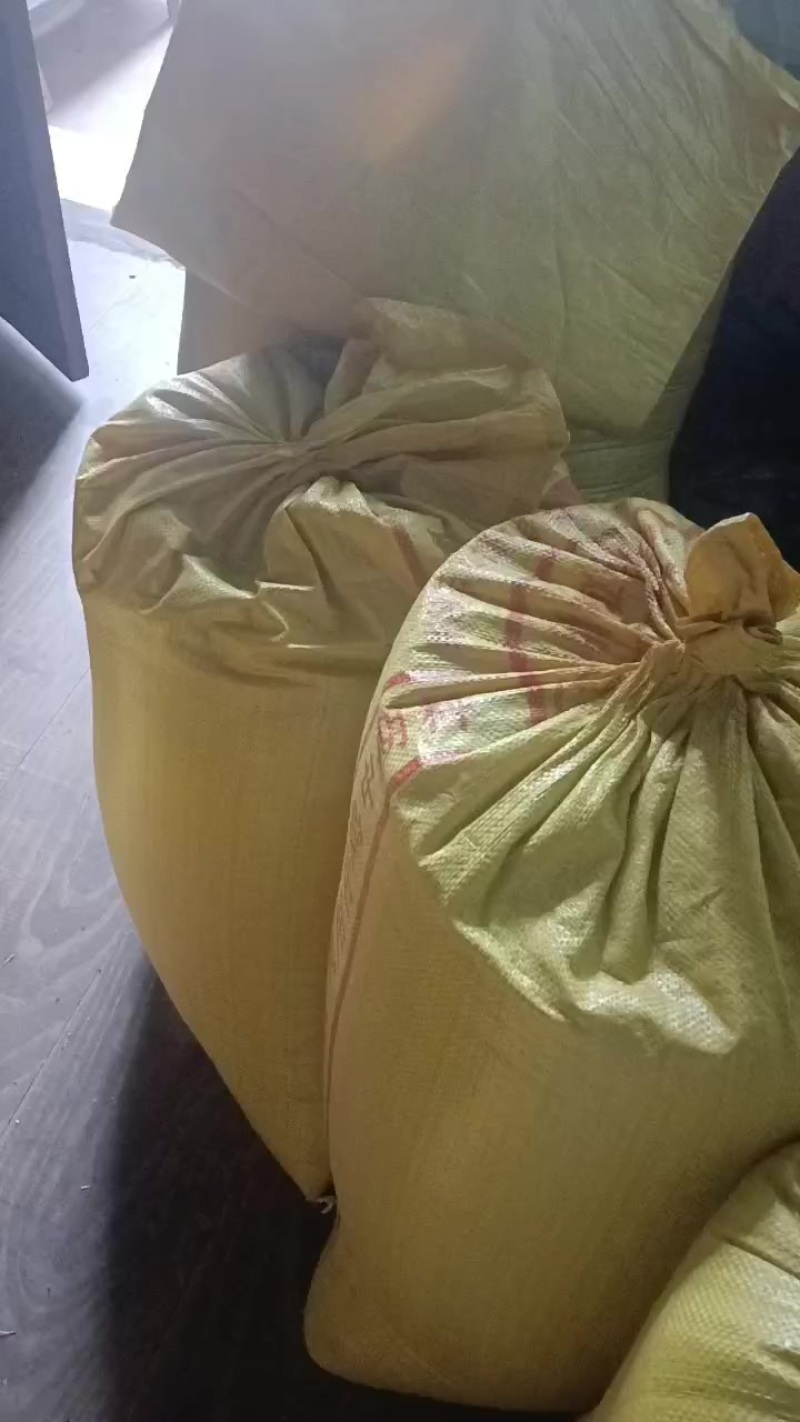 云南腾冲油菜籽