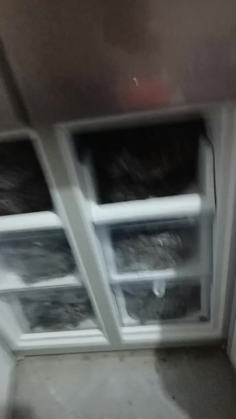 人工养殖的蟋蟀干品冻品活体