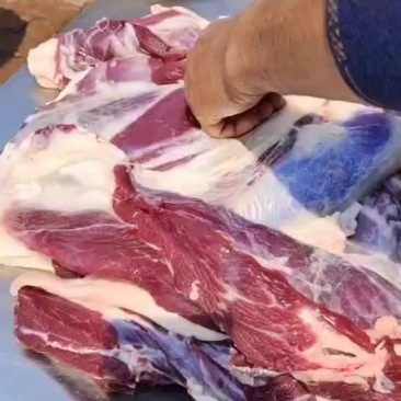 梅花鹿鹿肉活鹿现杀质优价廉