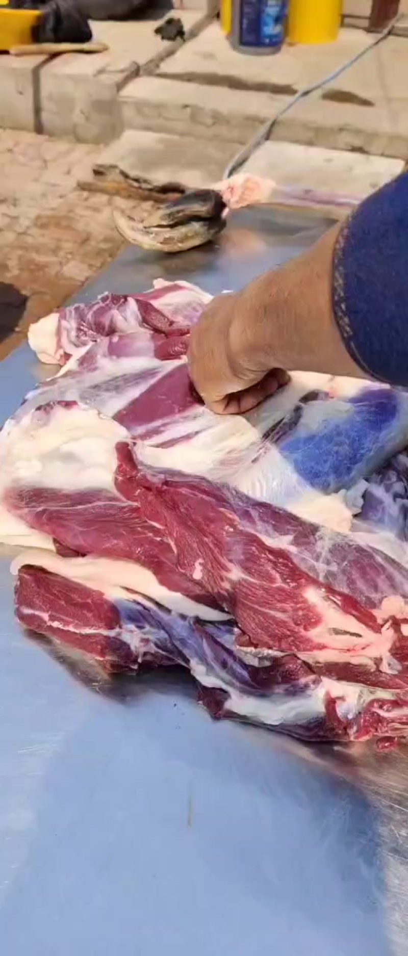 梅花鹿鹿肉活鹿现杀质优价廉