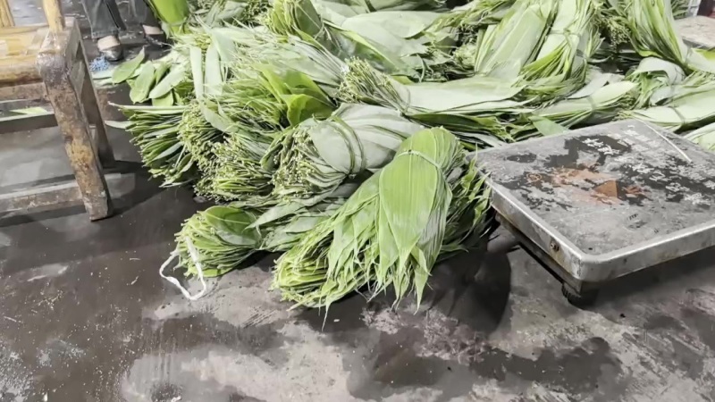 大量新鲜粽叶供应，全国发货，量大从优，欢迎致电