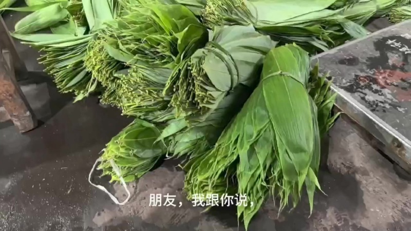 大量新鲜粽叶供应，全国发货，量大从优，欢迎致电