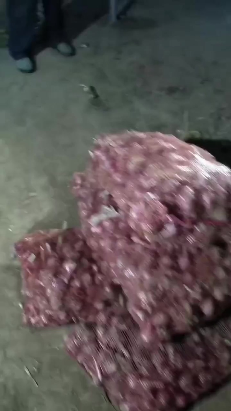 紫皮大蒜