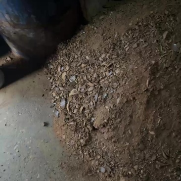 菜枯