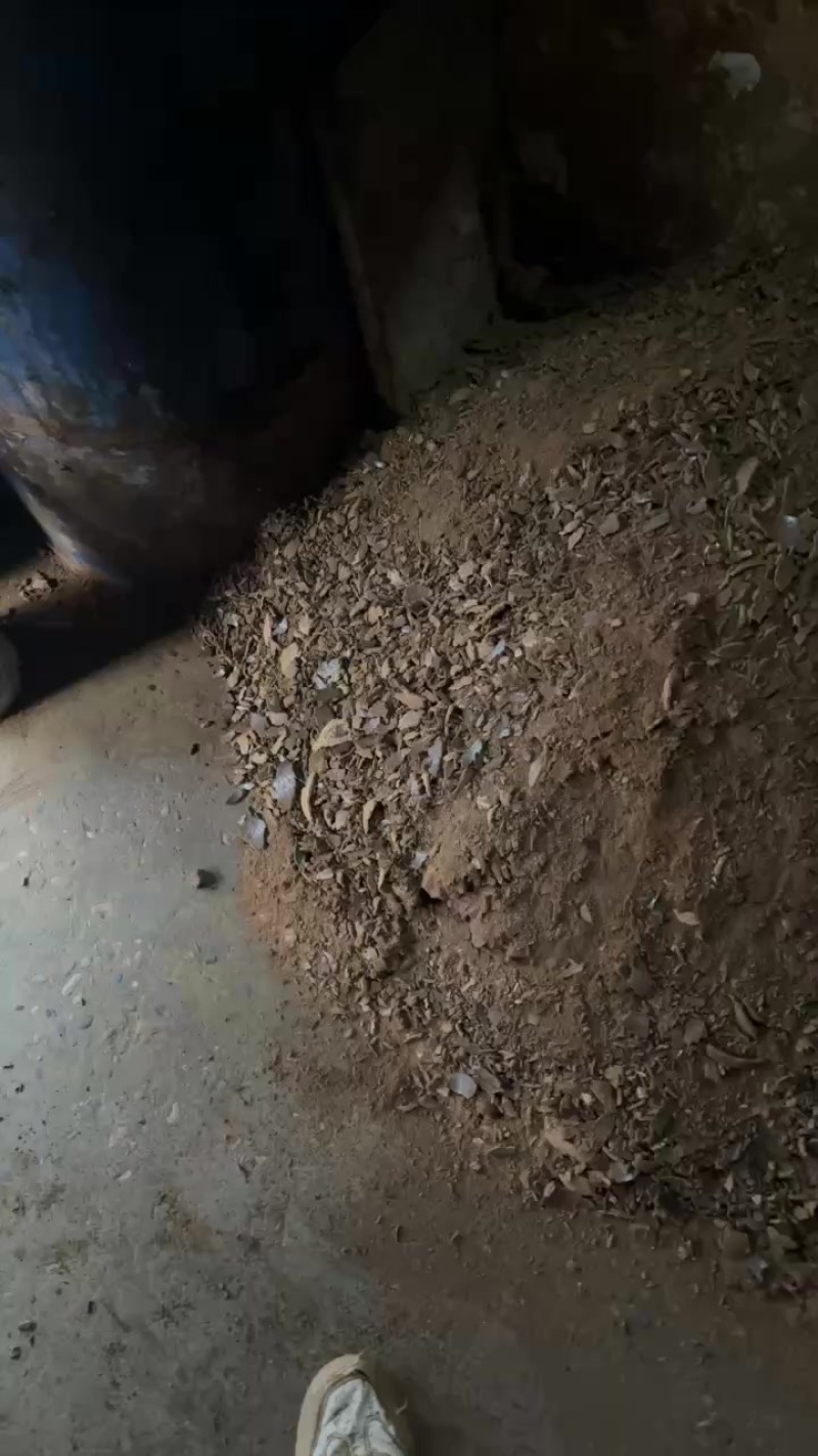 菜枯