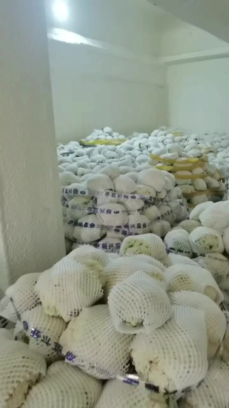 预冷花菜