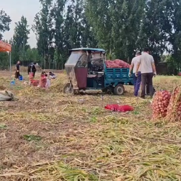 自产自销，