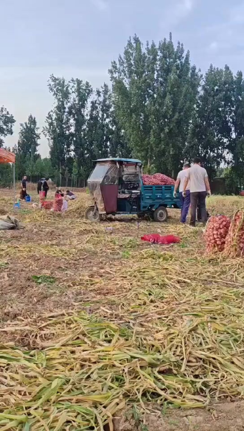 自产自销，