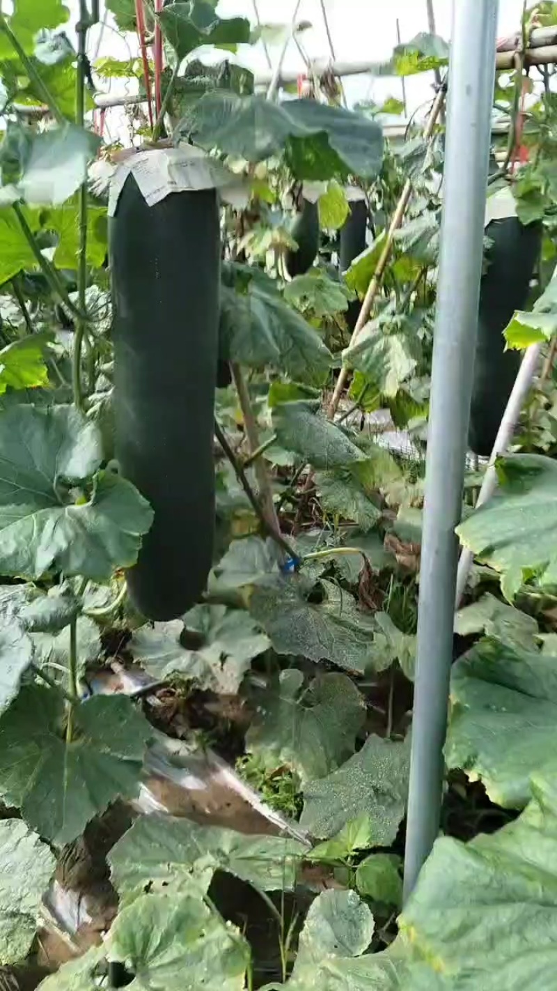 北海饭堂货