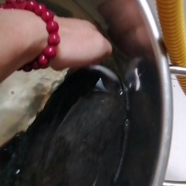 野生鲶鱼