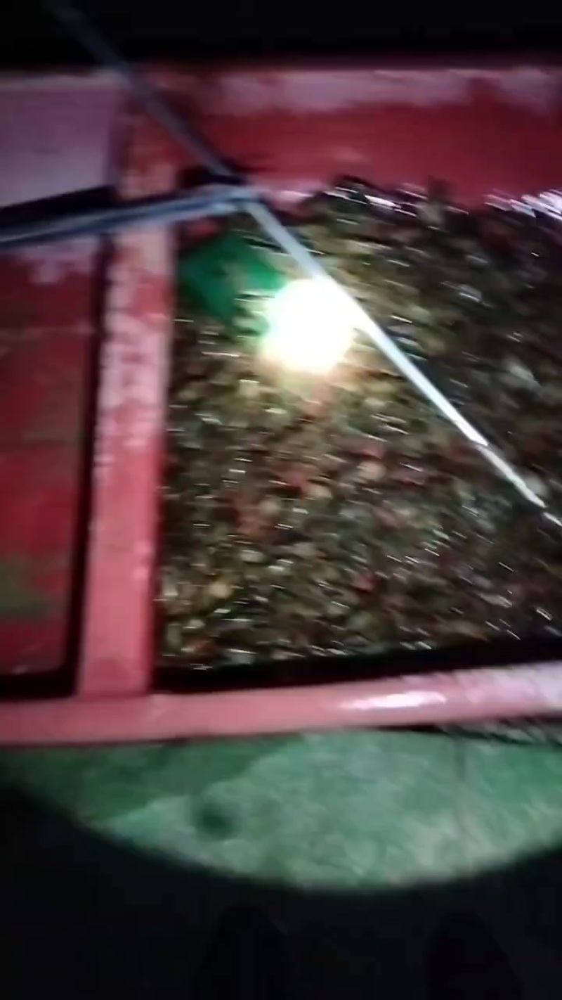 小龙虾