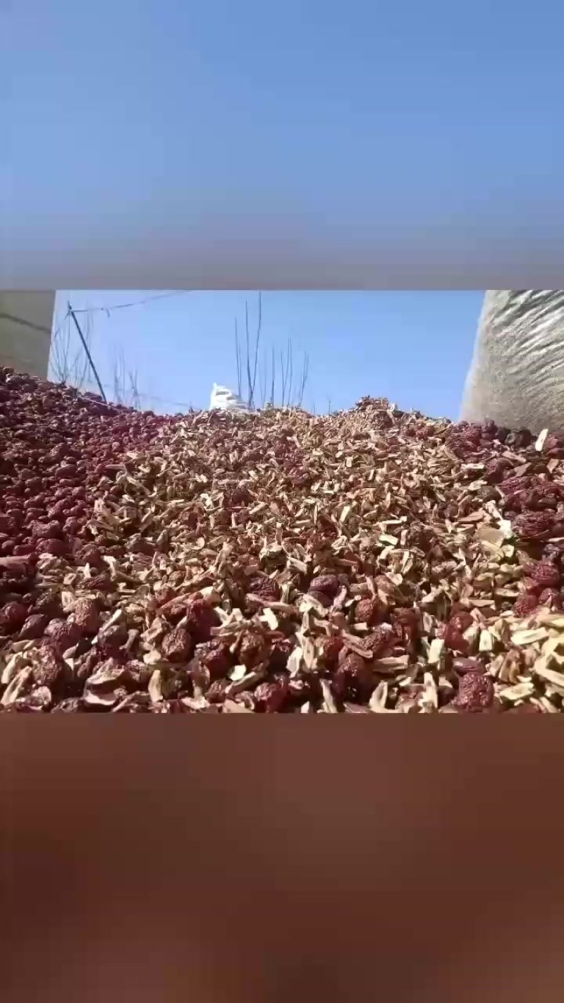 枣粉红枣粉糖分56，蛋白6%，灰分8，水分12左右