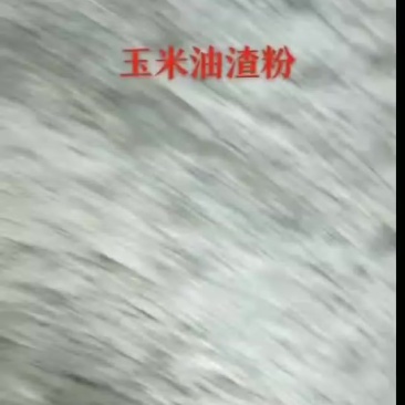 玉米油渣粉蛋白含量3-5个左右，脂肪6个左右