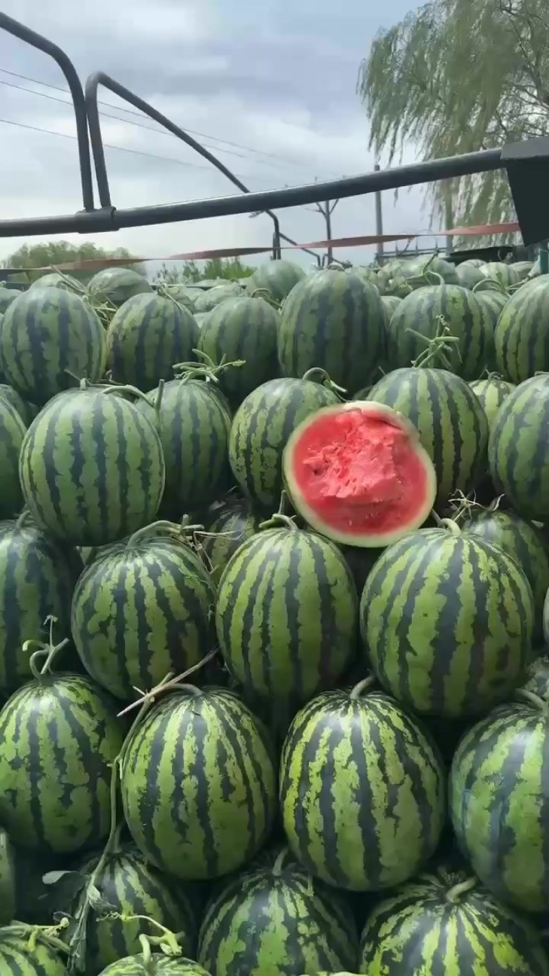 甜王西瓜