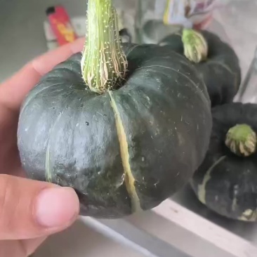 精品贝贝南瓜