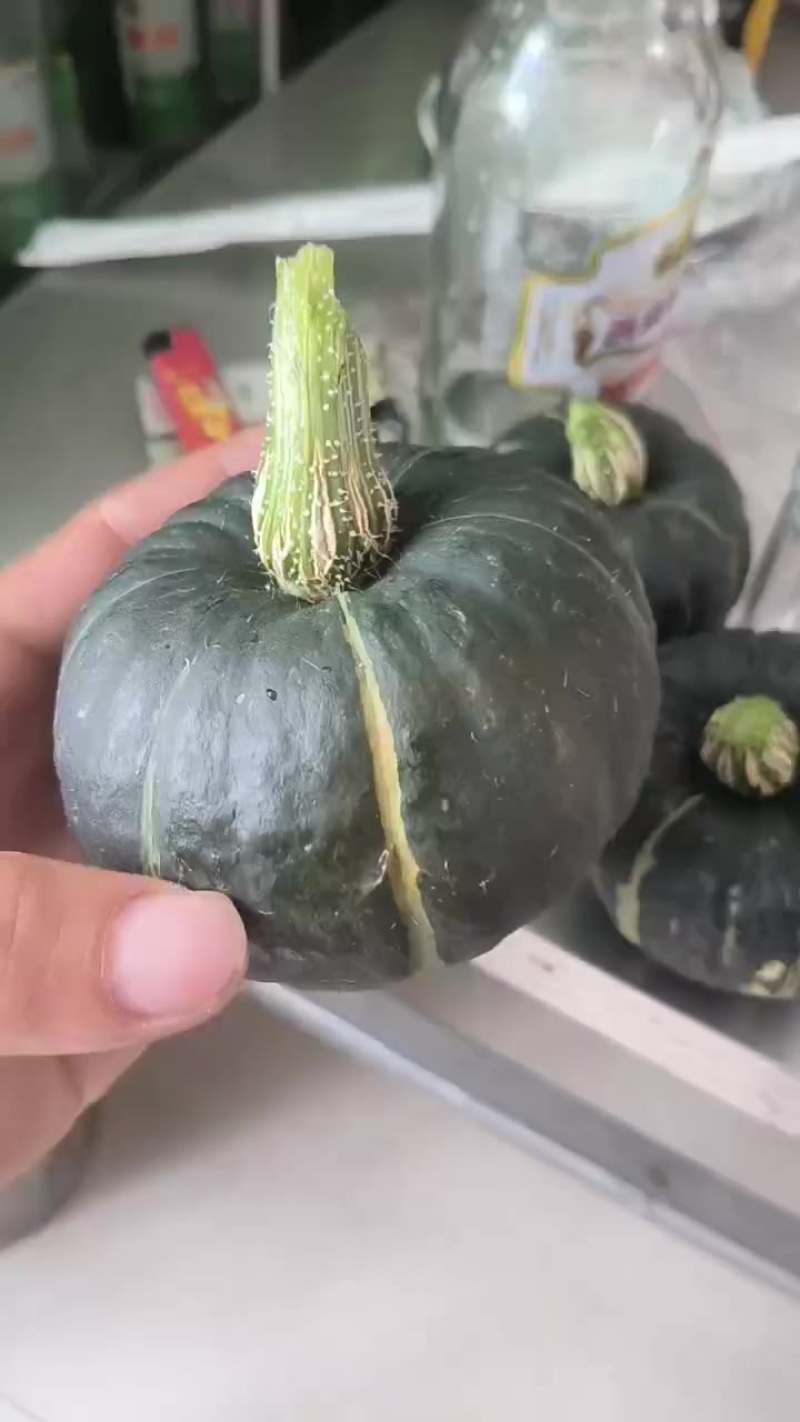 精品贝贝南瓜
