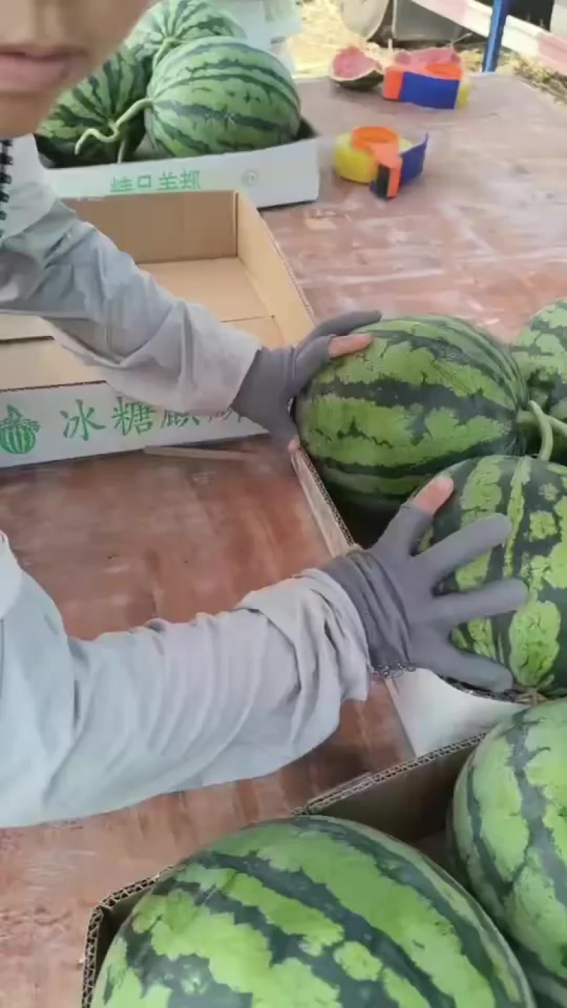 代办代发大棚无籽美都西瓜🍉，质量三包，糖度高