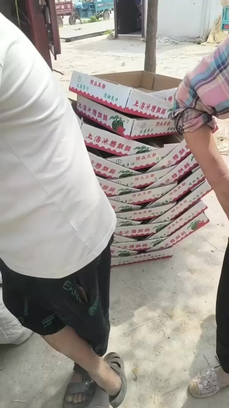 代办代发大棚无籽美都西瓜🍉，质量三包，糖度高