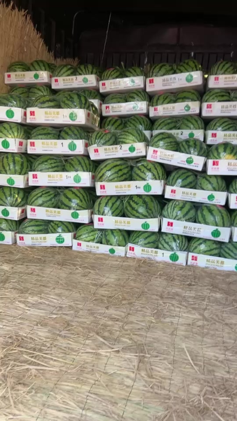 代办代发大棚无籽美都西瓜🍉，质量三包，糖度高