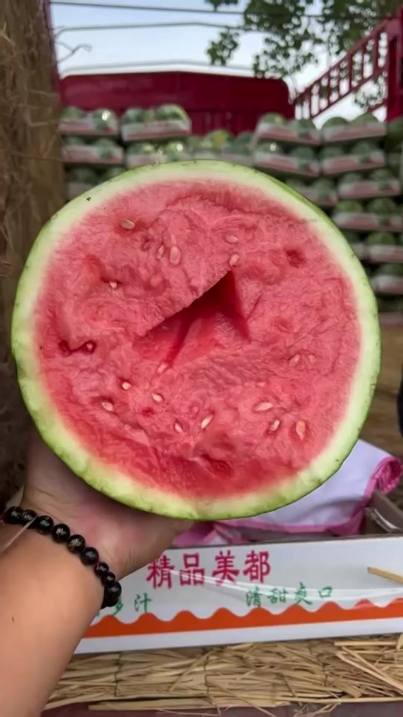 代办代发大棚无籽美都西瓜🍉，质量三包，糖度高