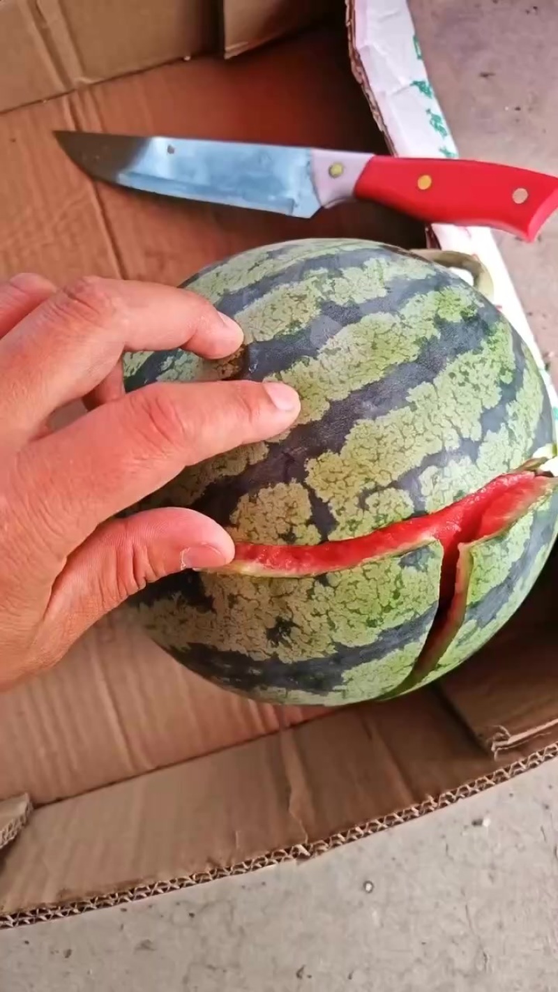 代办代发大棚无籽美都西瓜🍉，质量三包，糖度高