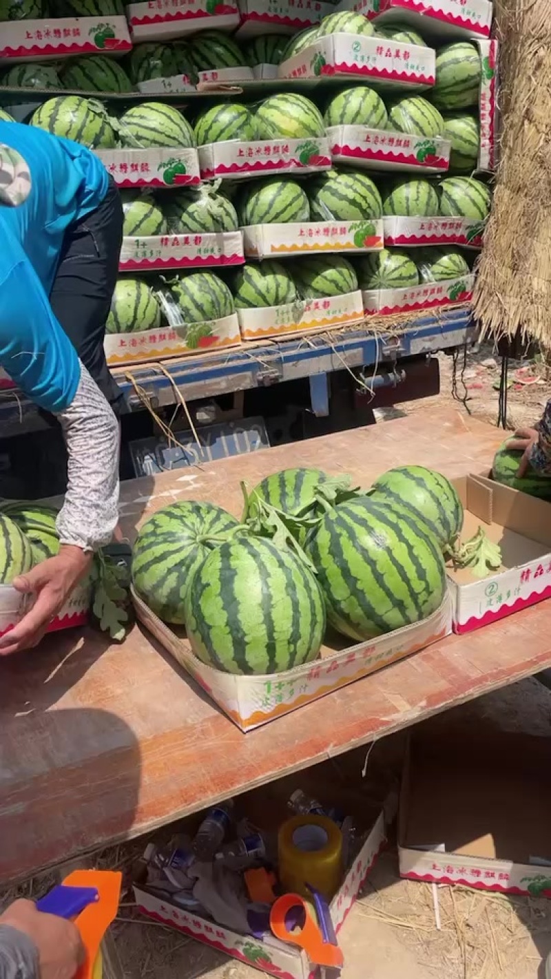 代办代发大棚无籽美都西瓜🍉，质量三包，糖度高