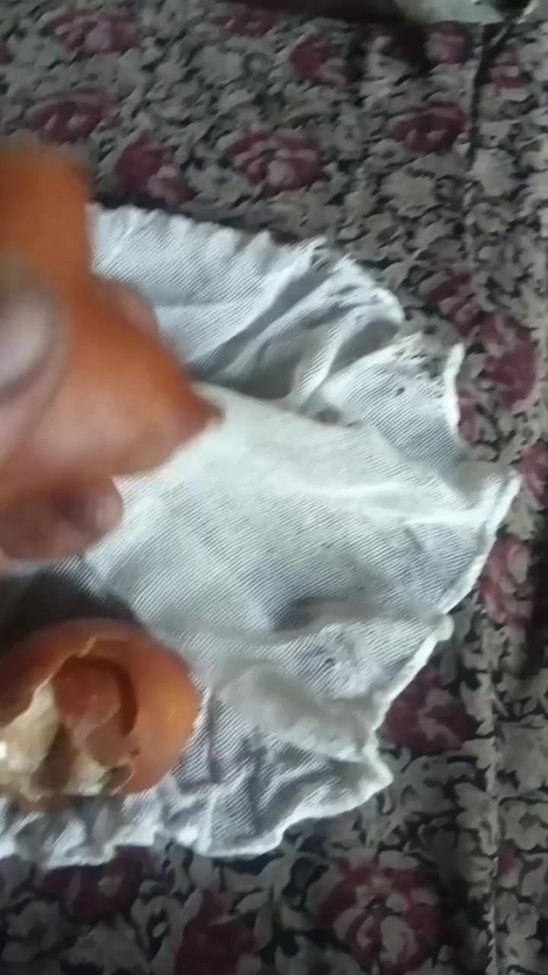 卖鸡宝