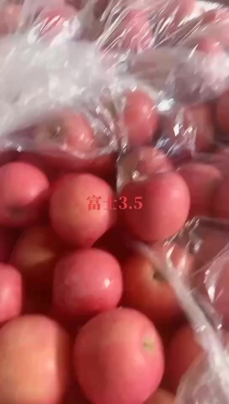红富士苹果