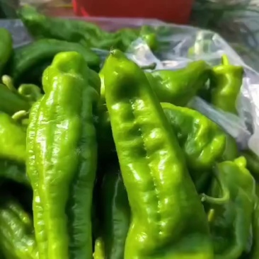 精品泡椒产地直发价格**