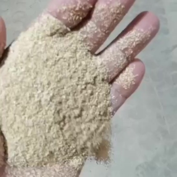1.0筛糠准备装货中！