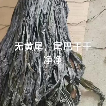 烘干海带丝，海带结，海带头，干海带