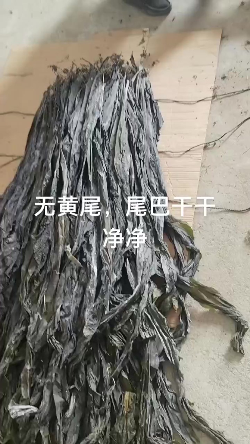 烘干海带丝，海带结，海带头，干海带