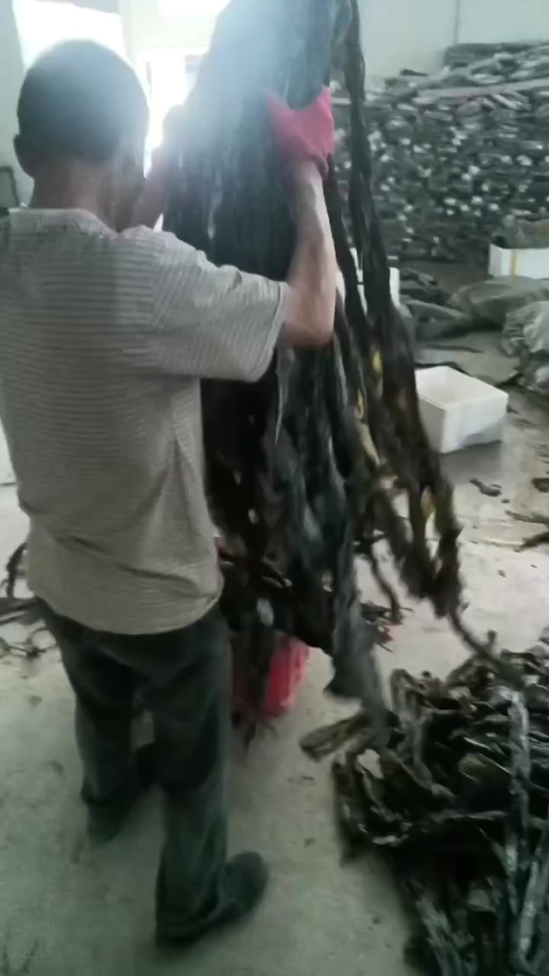 烘干海带丝，海带结，海带头，干海带