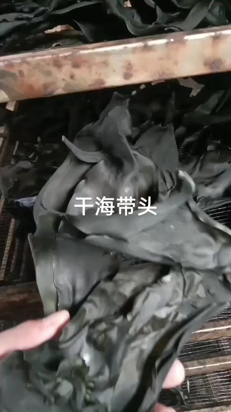 烘干海带丝，海带结，海带头，干海带