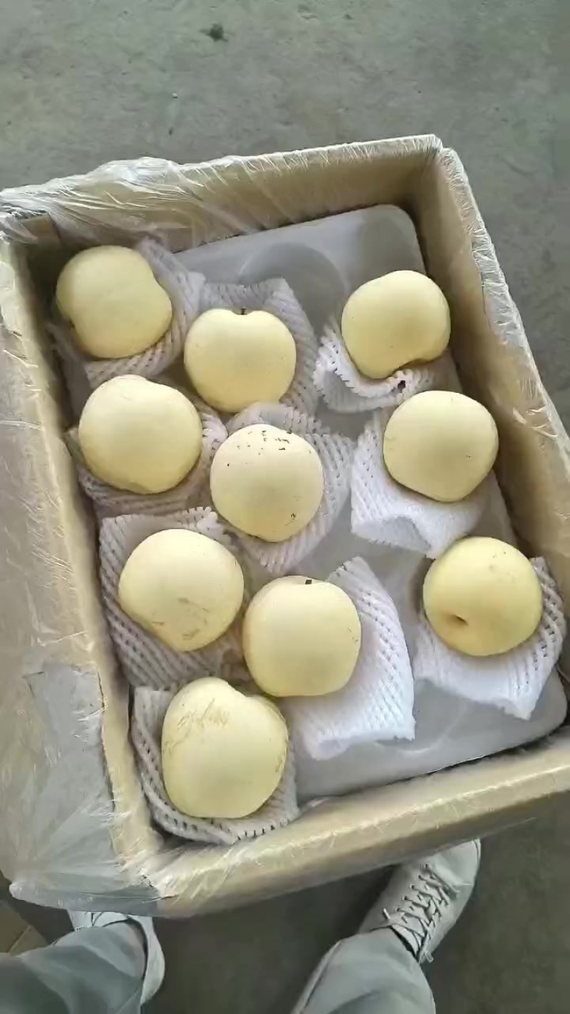 二级皇冠梨