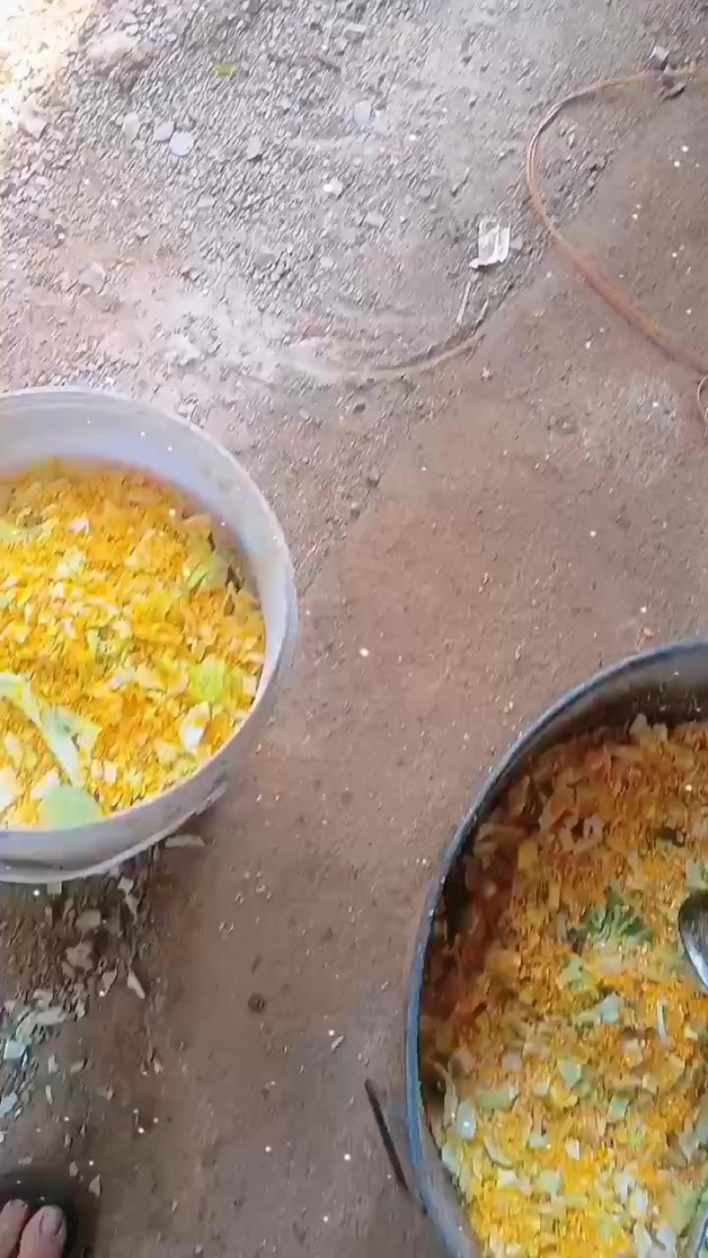 土鸡