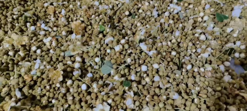猕猴桃花粉每天1000斤