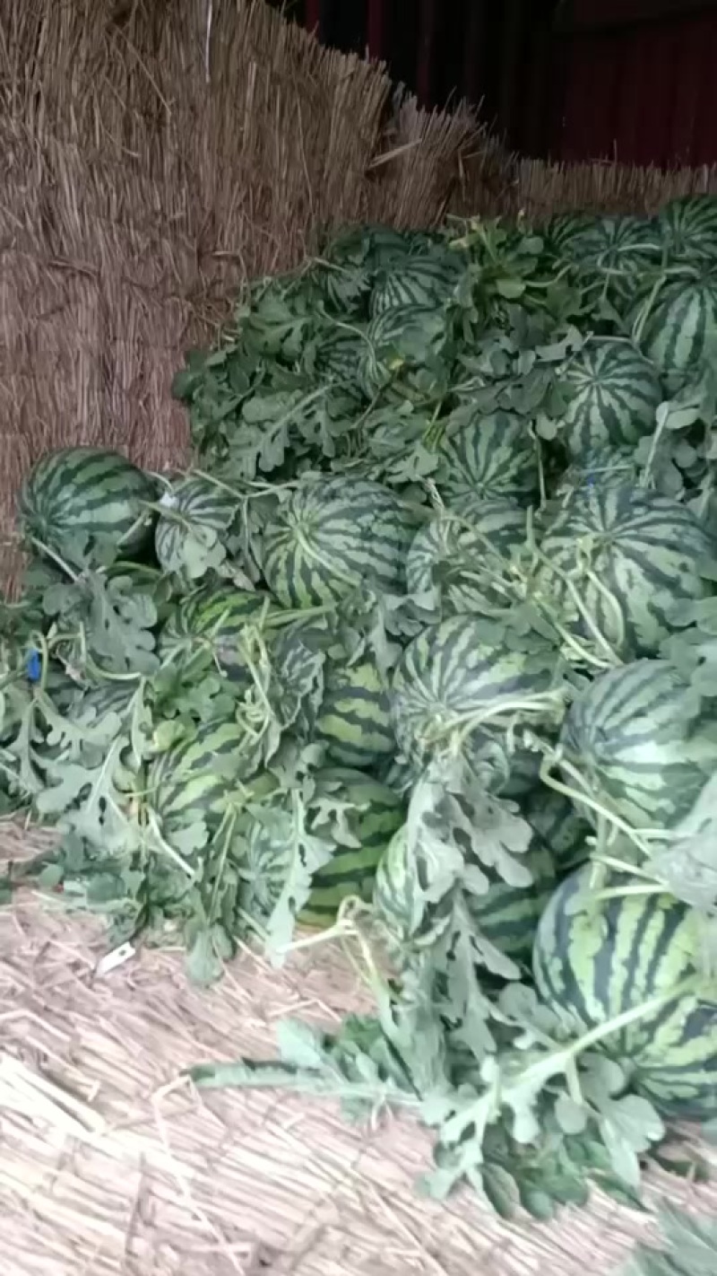 精品美都