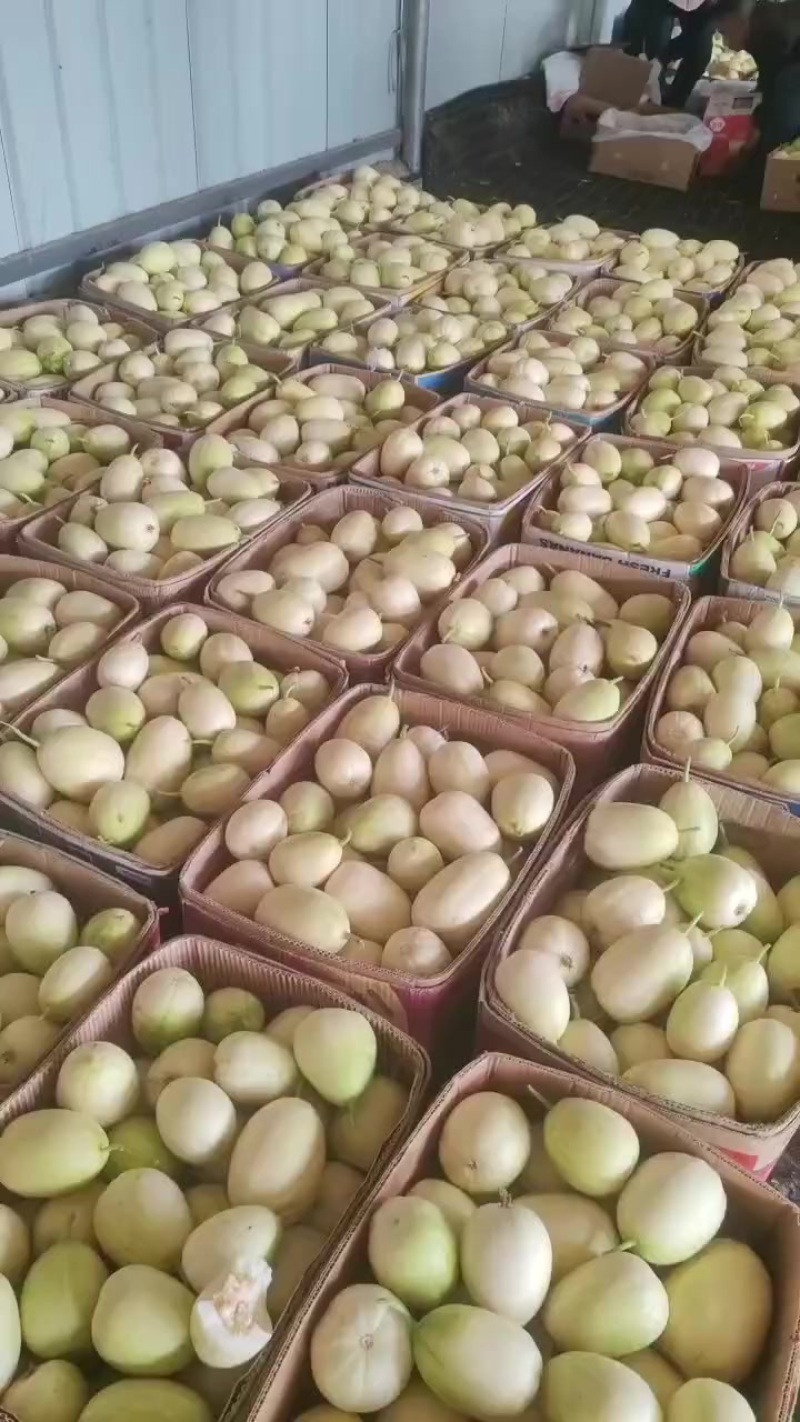 产地直发，