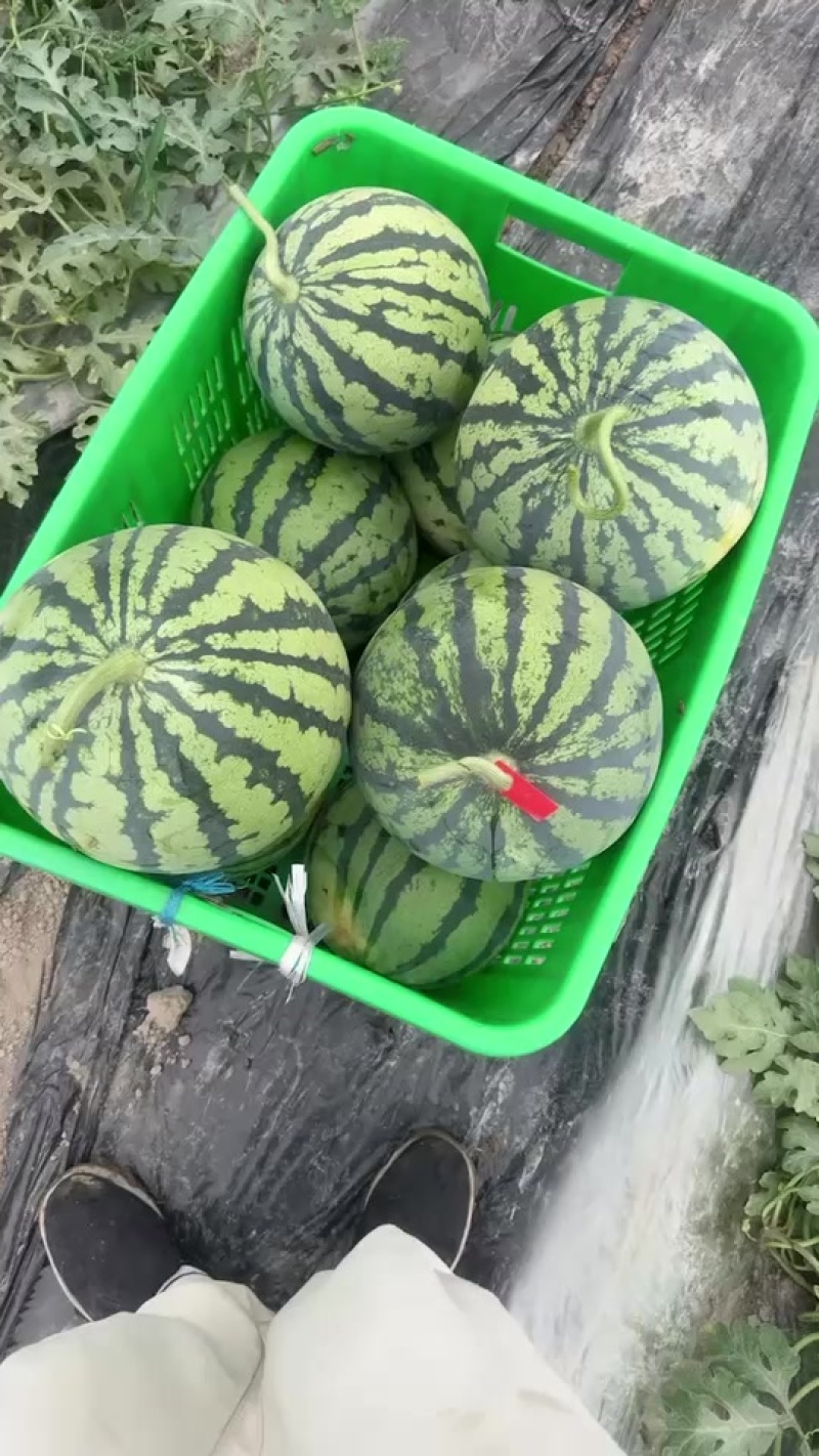 美都大量上市