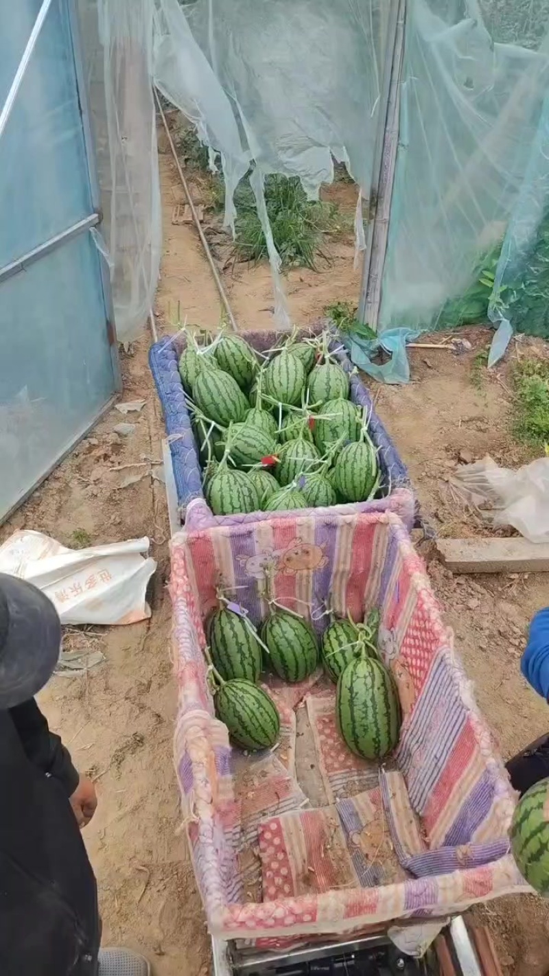 L600大量有货