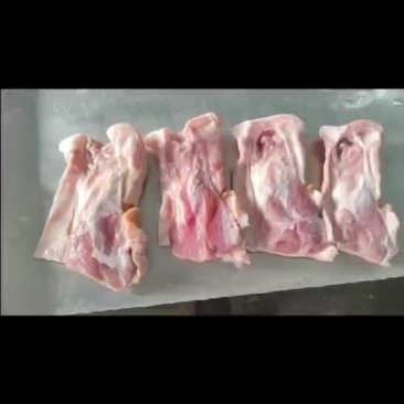猪鼻子