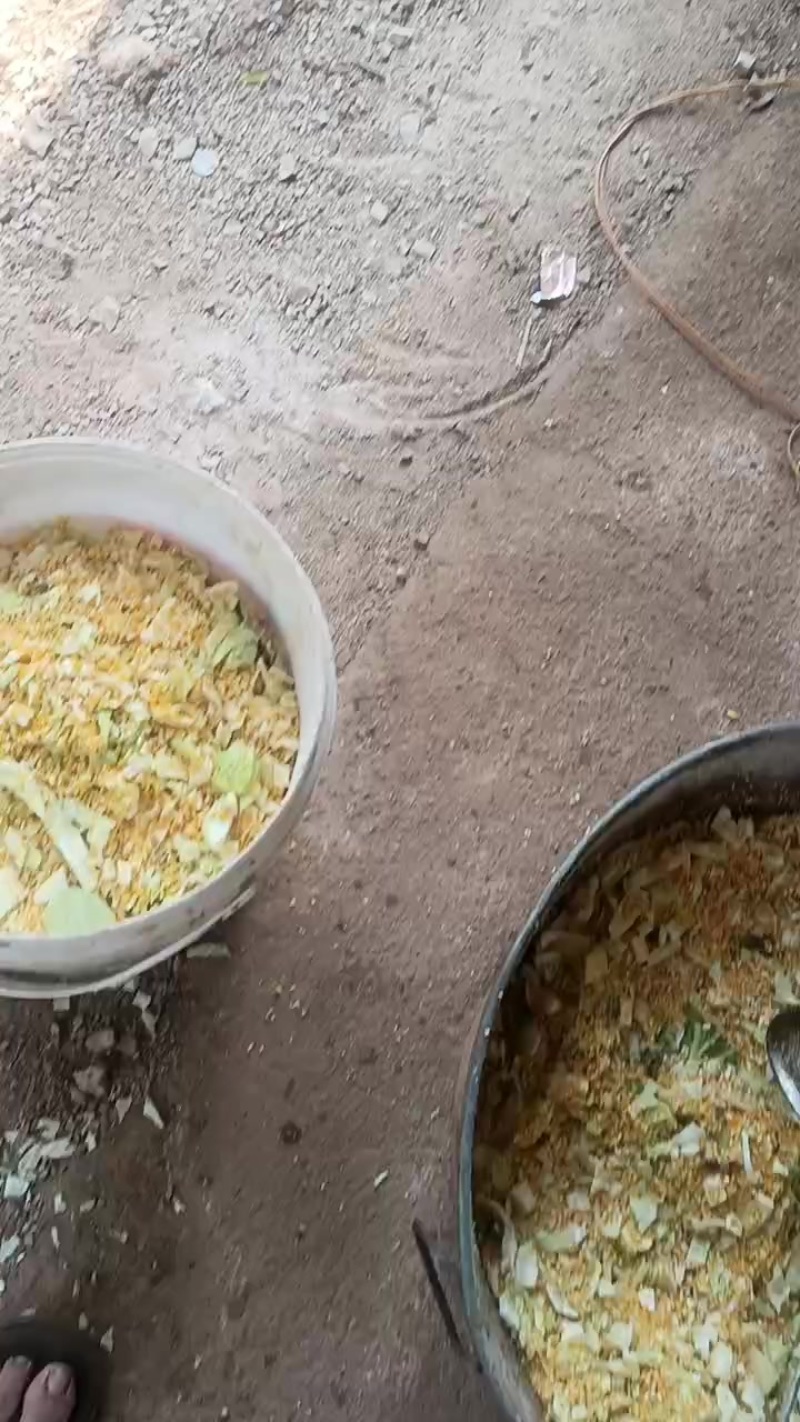 有需要的联系我联系方式***********