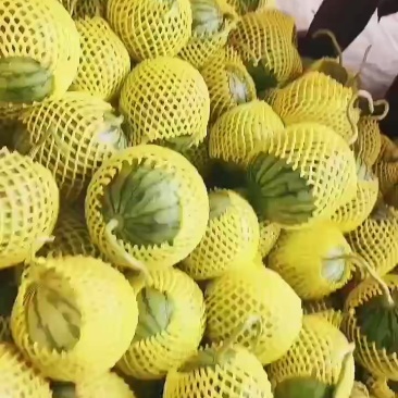 特小凤