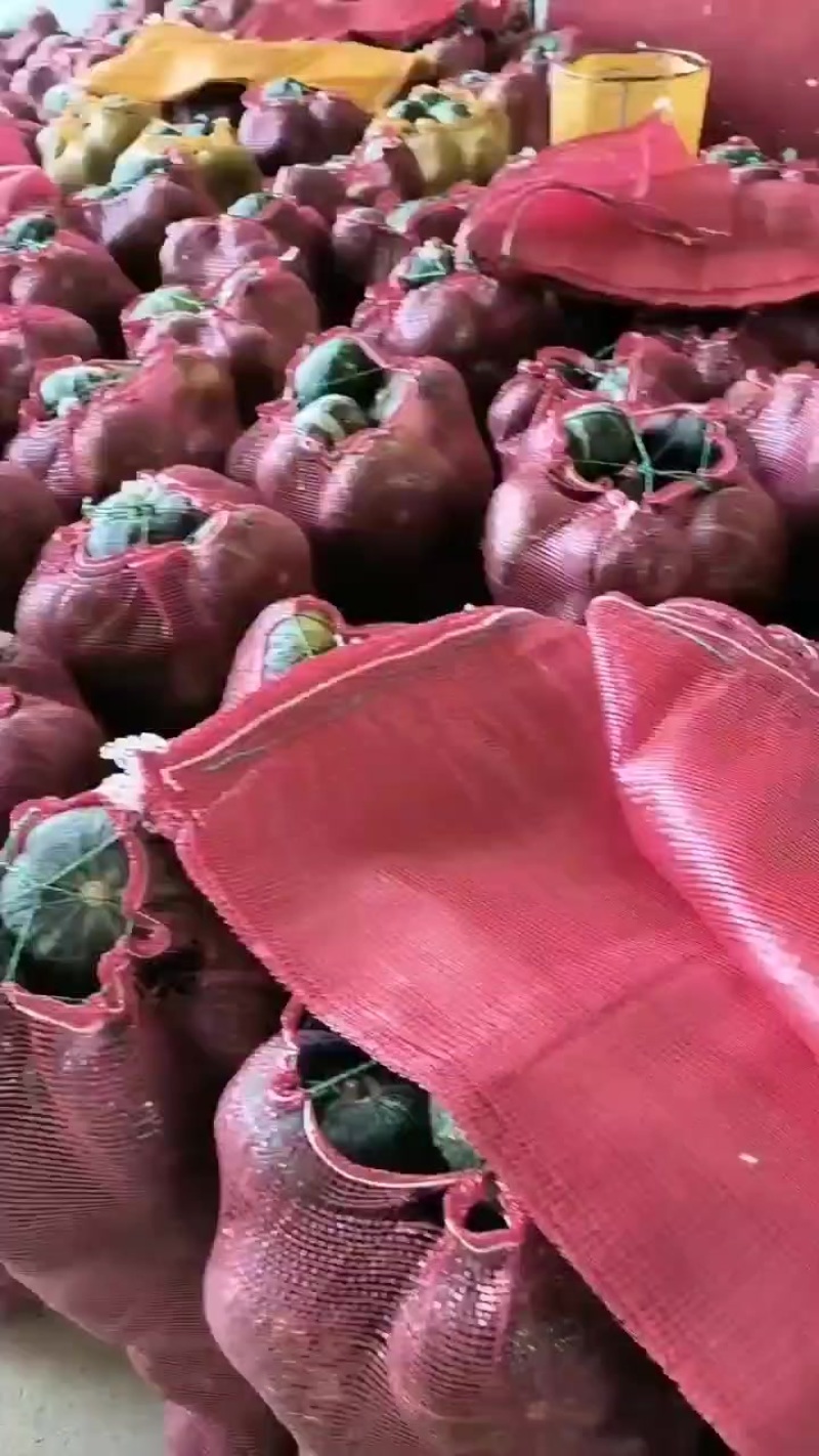板栗南瓜