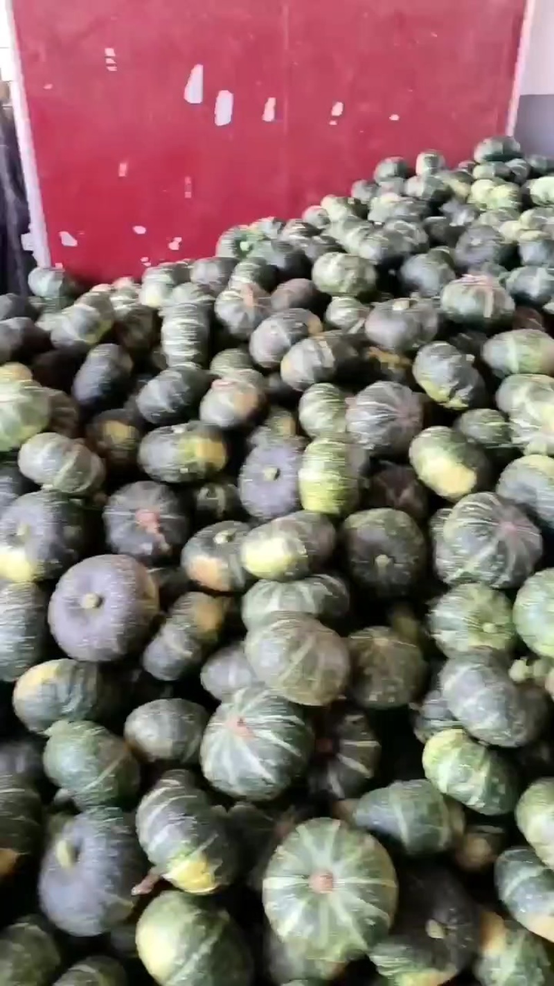 板栗南瓜