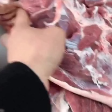 后段带皮带骨