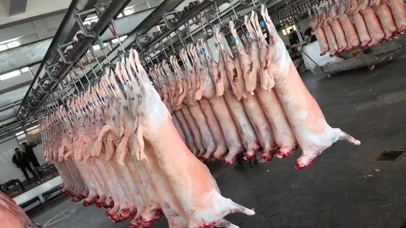 羊肉