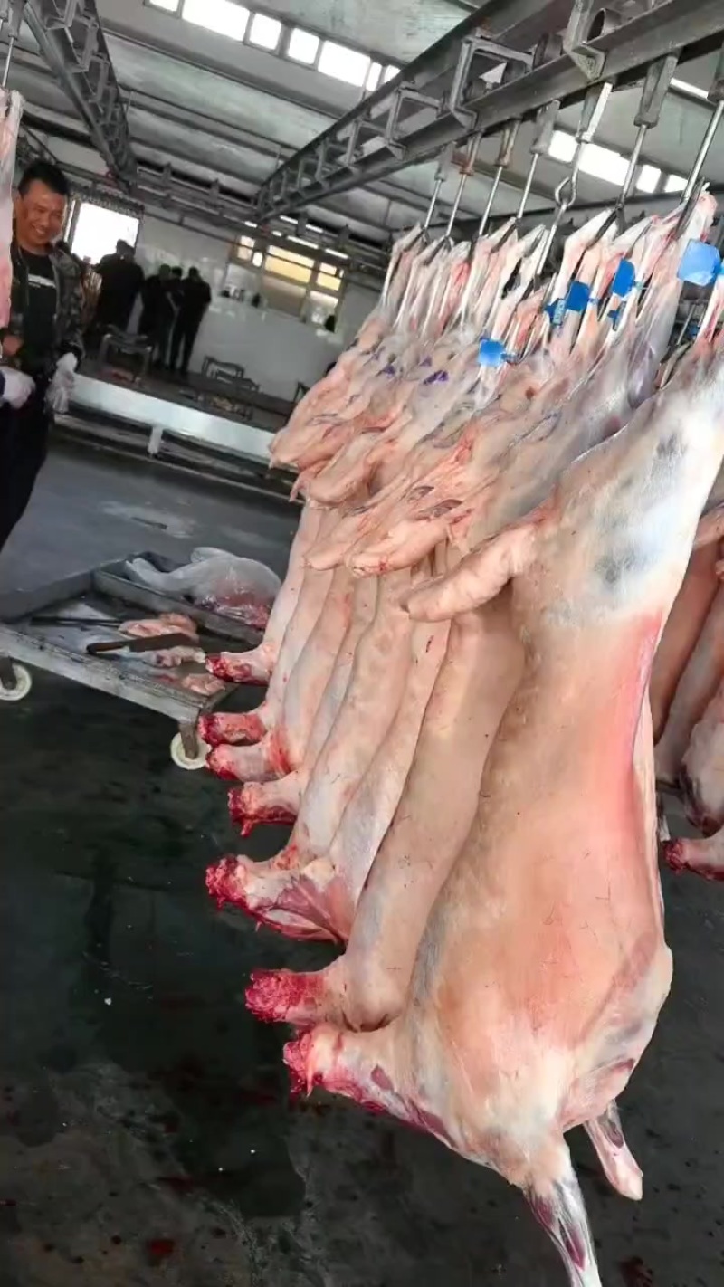 羊肉